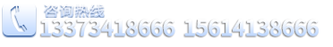 13373418666